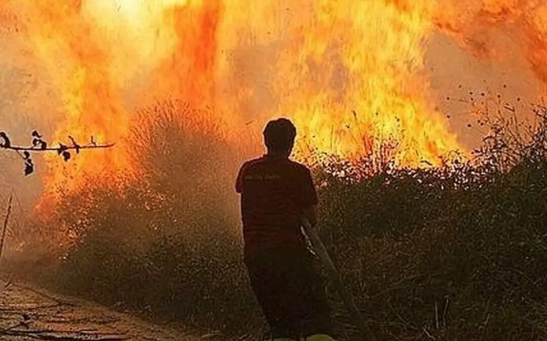 incendi in calabria