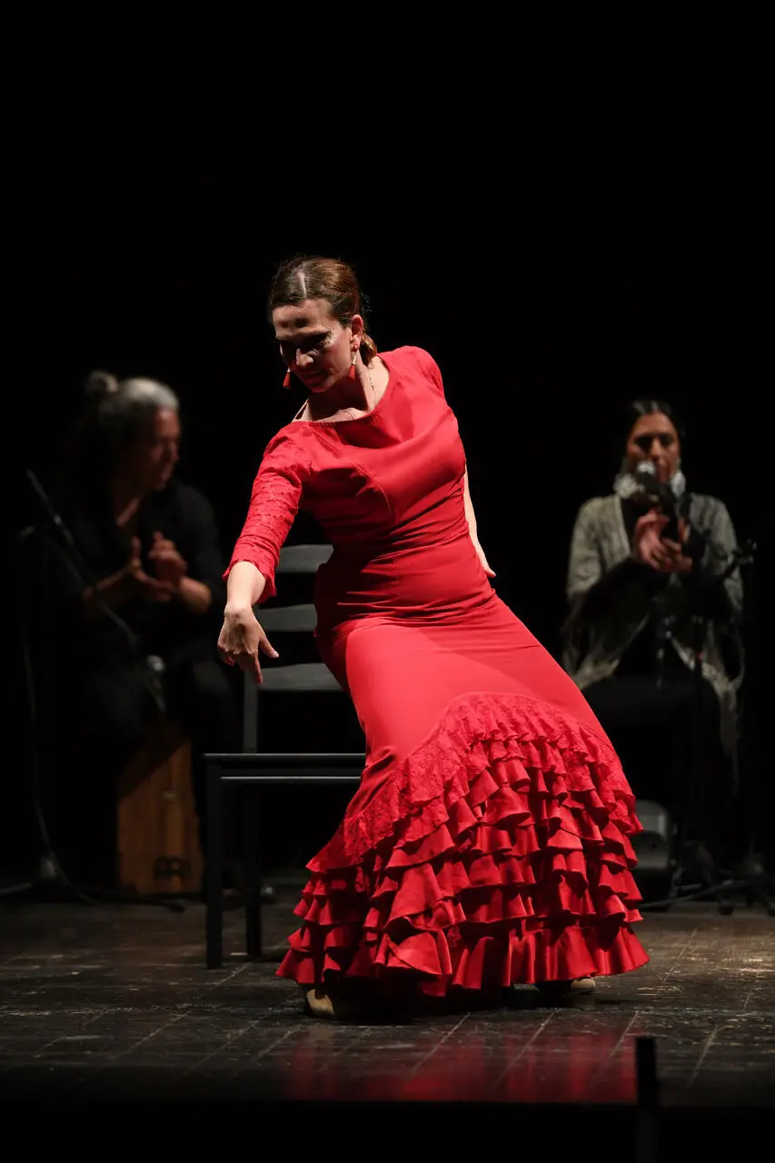 ArteInVivo Festival