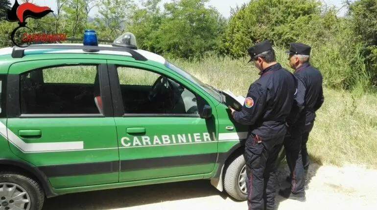 Carabinieri NIPAAF