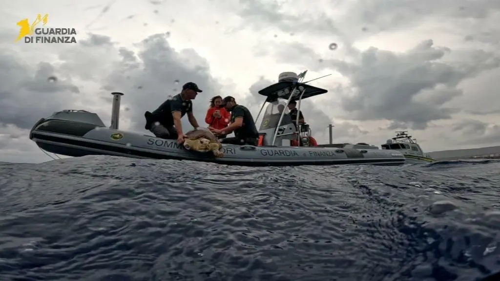 Il momento in cui viene liberata Ariel