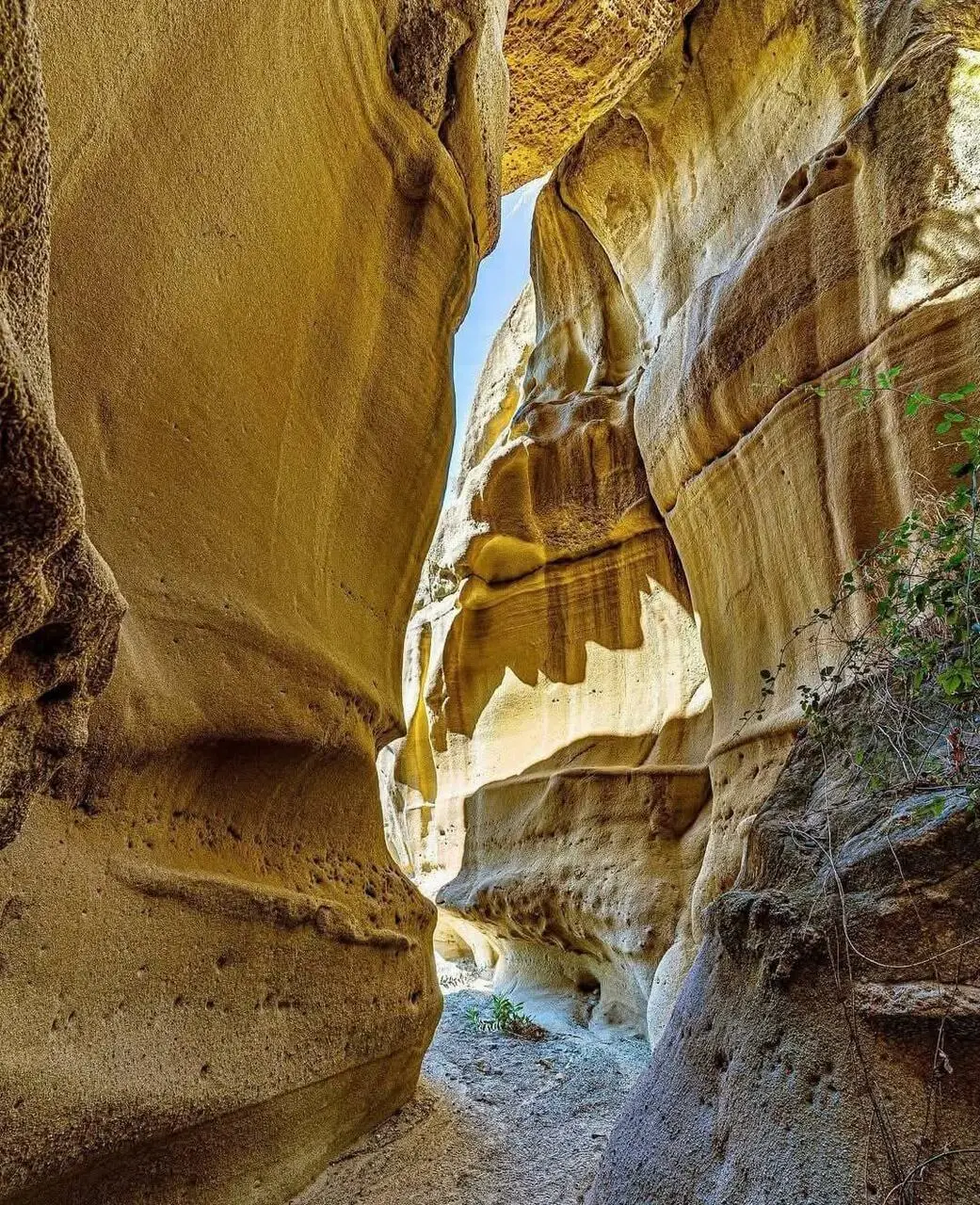 Canyon