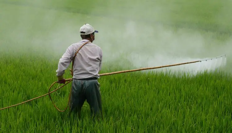 Agricoltore