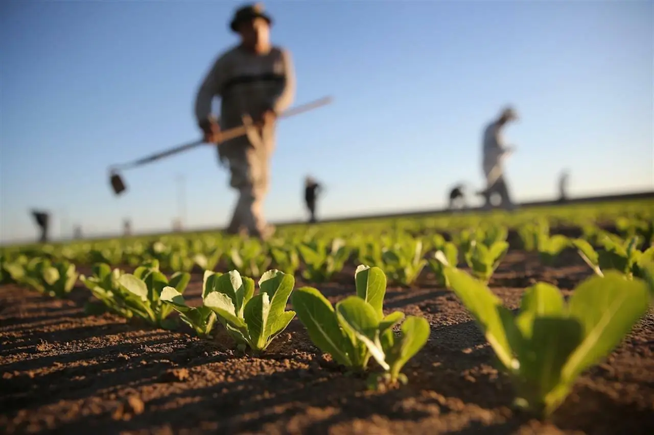 Agricoltore che coltiva il terreno con un'ascia