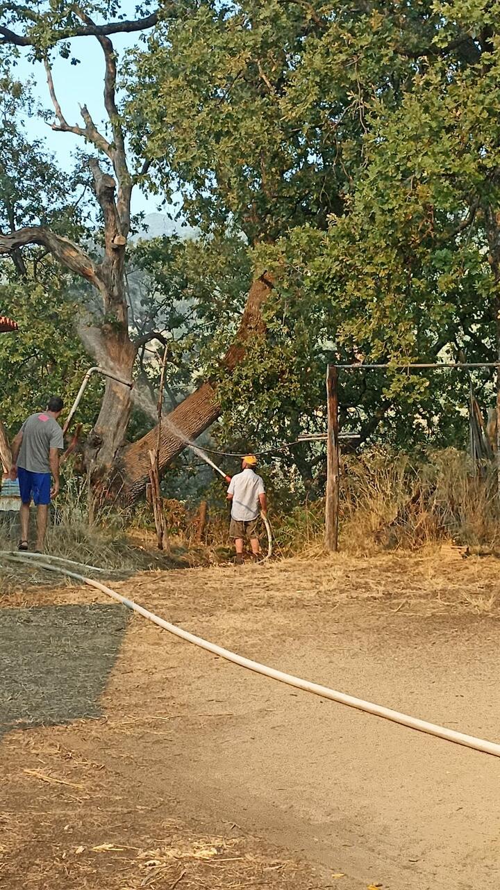 Incendio Zampano