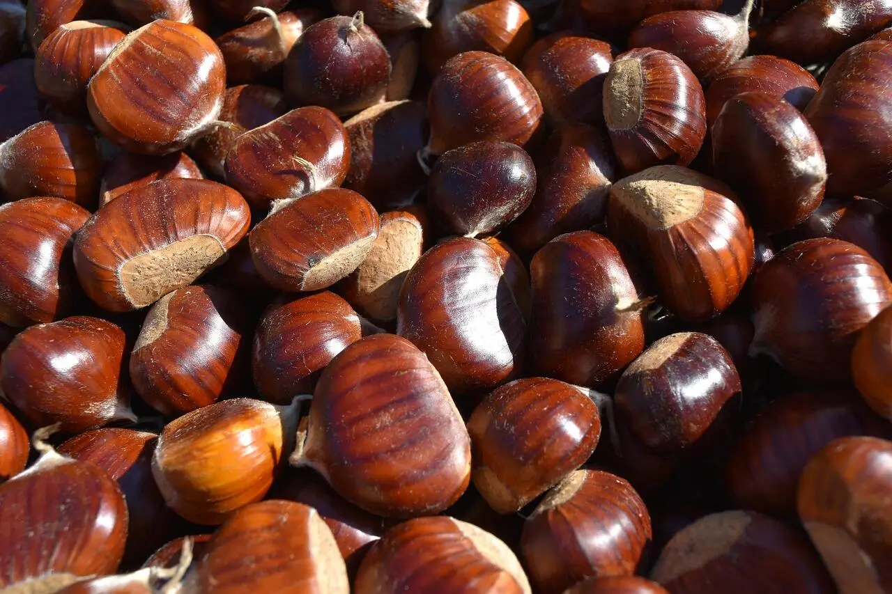 Castagne