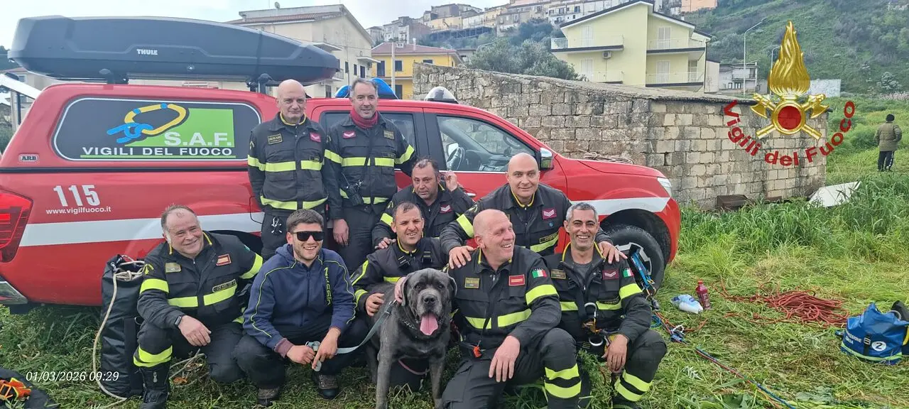 Il cane con i vigili del fuoco che lo hanno salvato