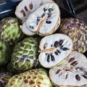 annona