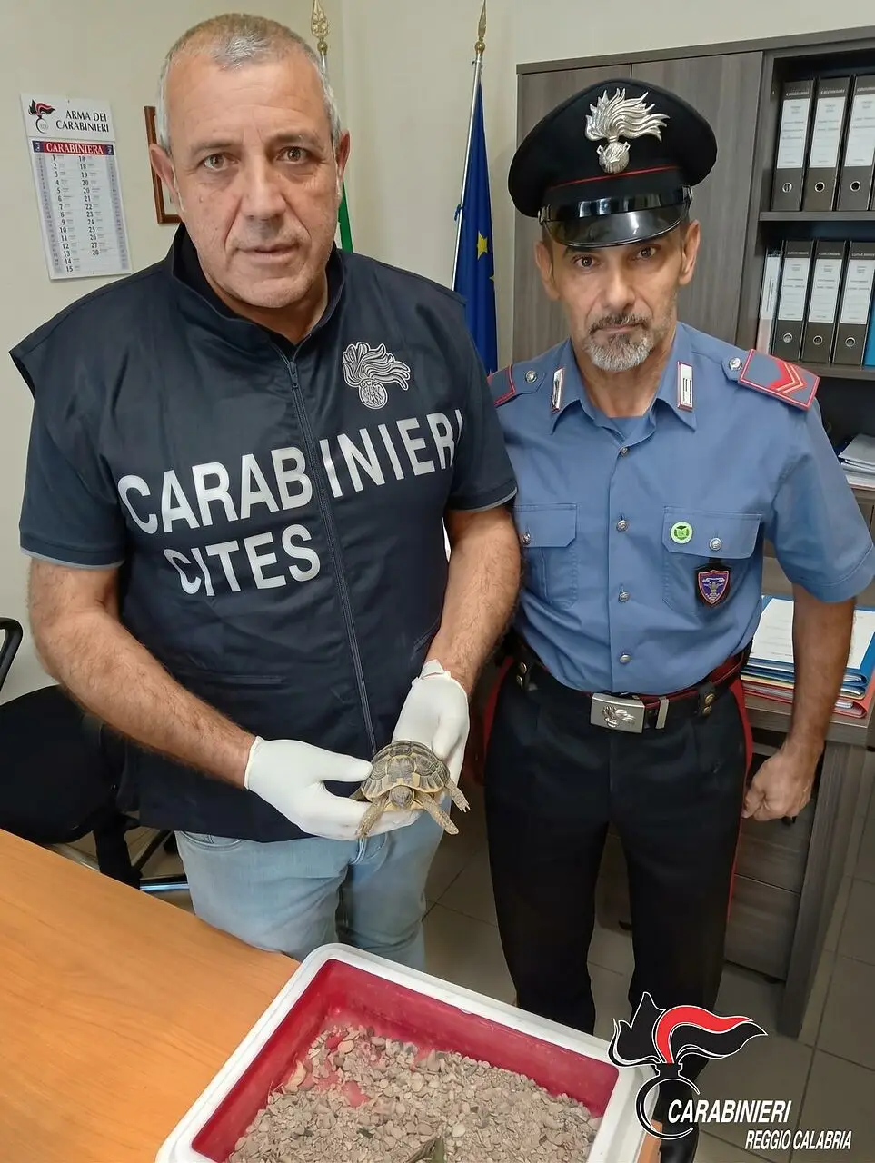Carabinieri con tartaruga