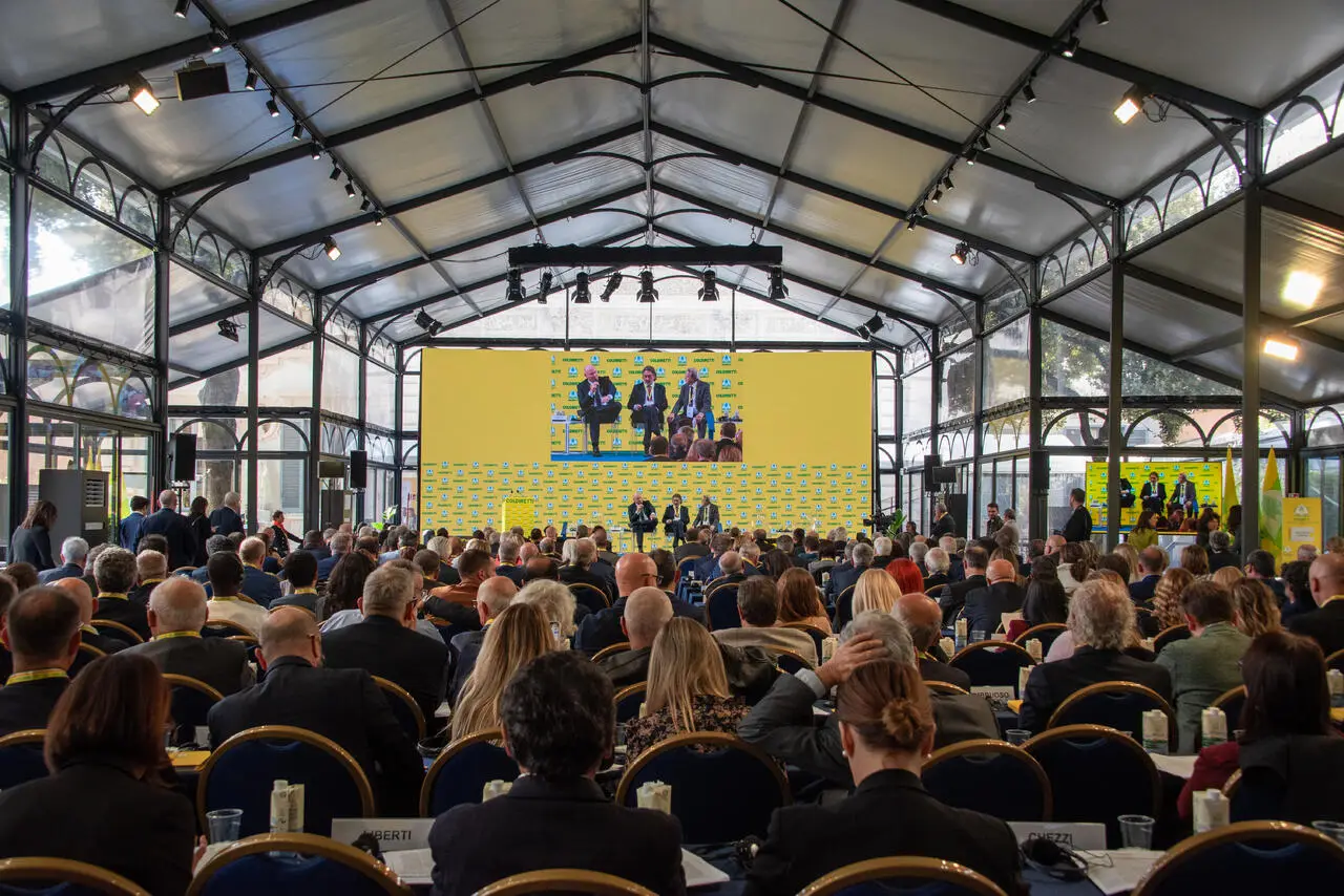 La sala dell'assemblea romana