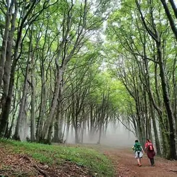 Cammino di San Francesco di Paola