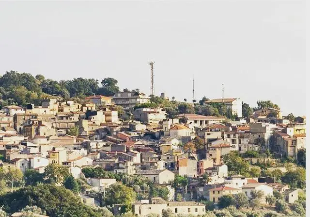 Martone