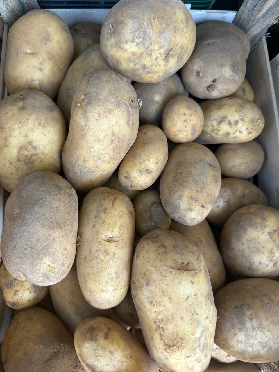 patate