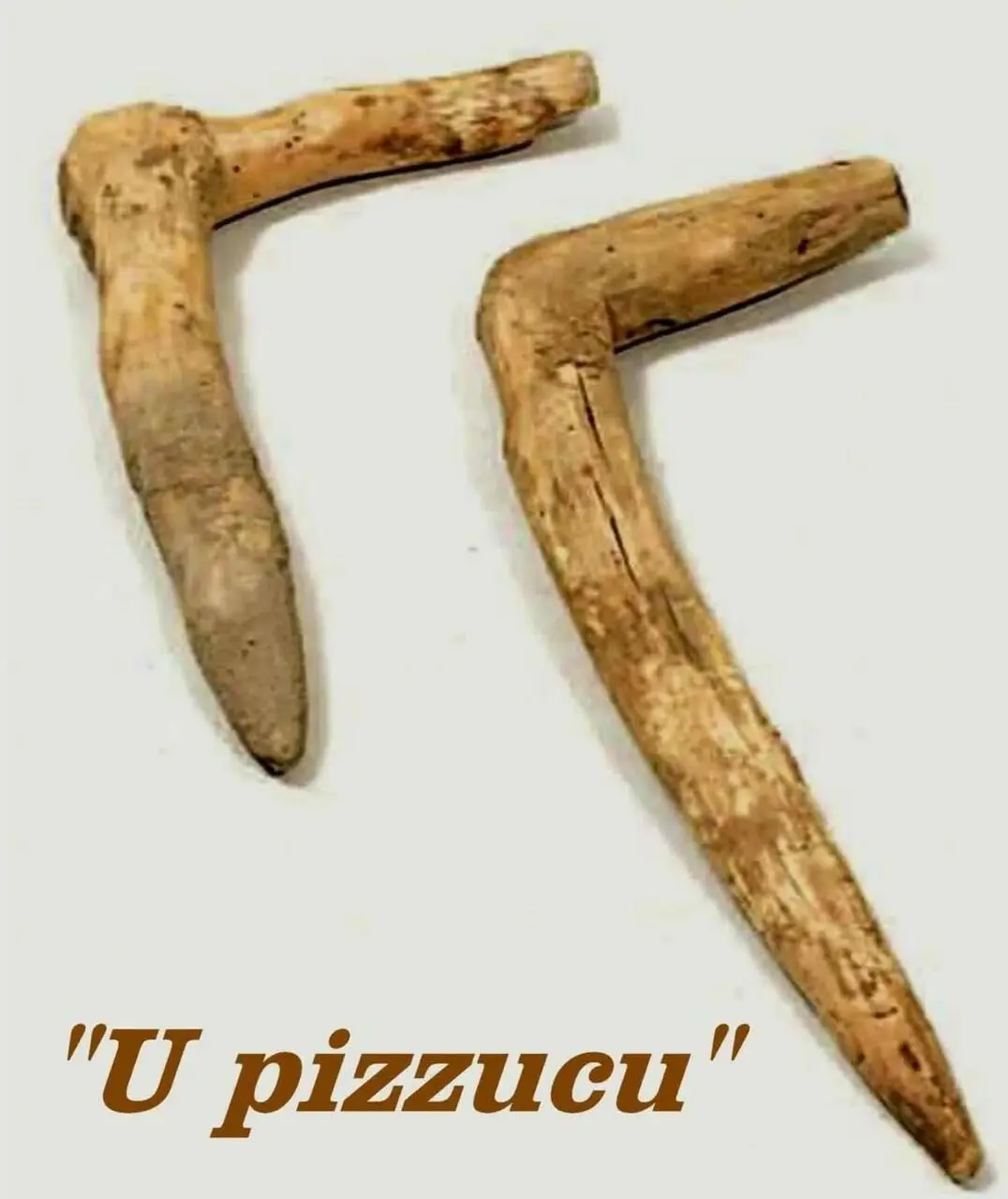 U pizzicu