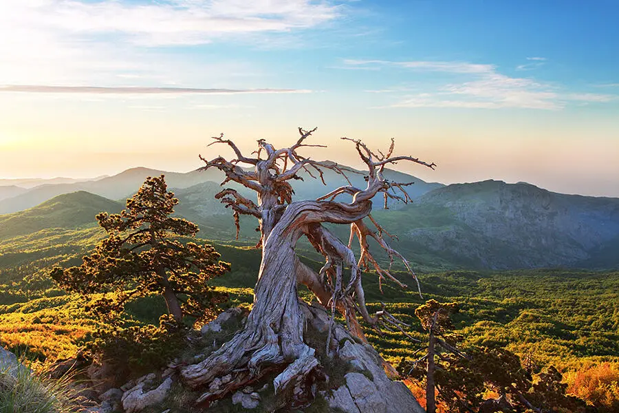 Parco Nazionale del Pollino