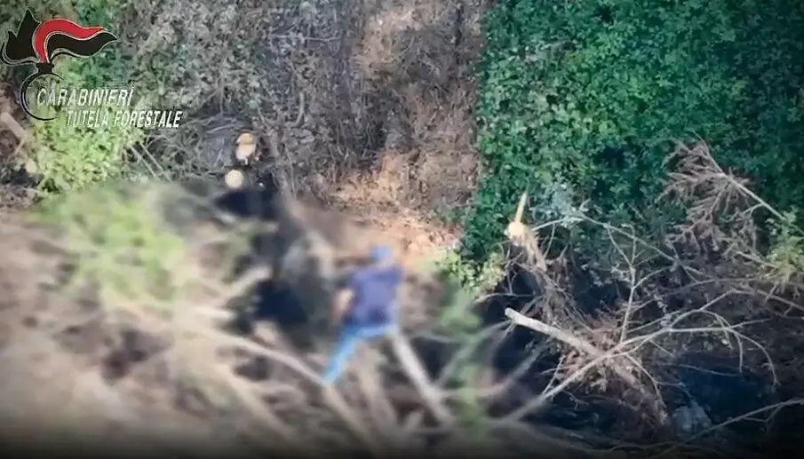 Il video dove viene immortalato il piromane