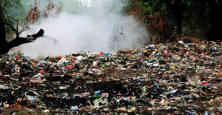 Aumentano i reati ambientali in Calabria