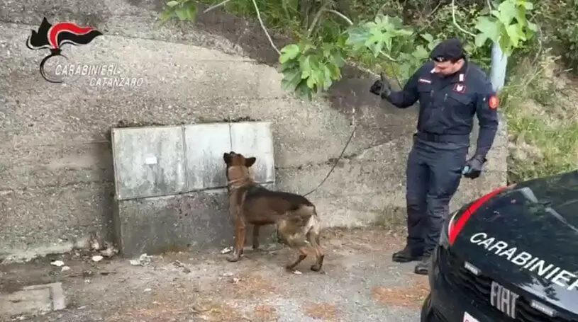 Il ritrovamento della droga