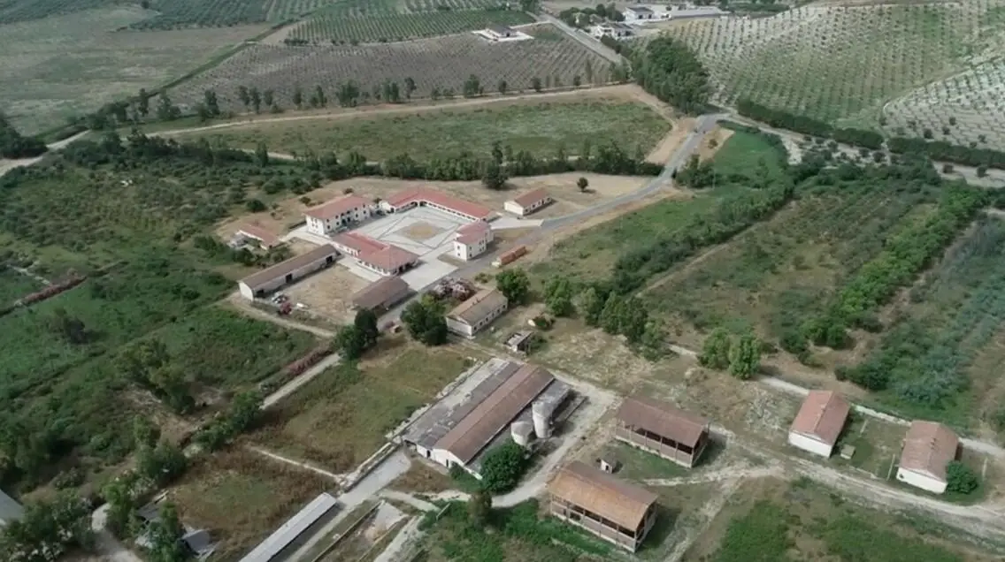 Centro Crisea