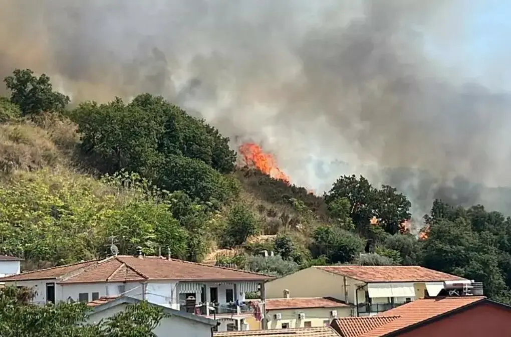 L'incendio a Santa Maria del Cedro