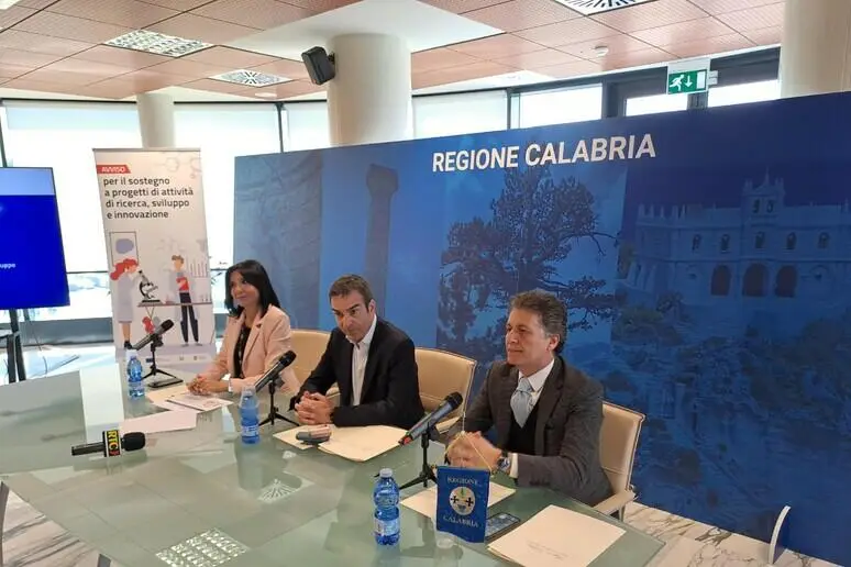 Incontro Cittadella regionale