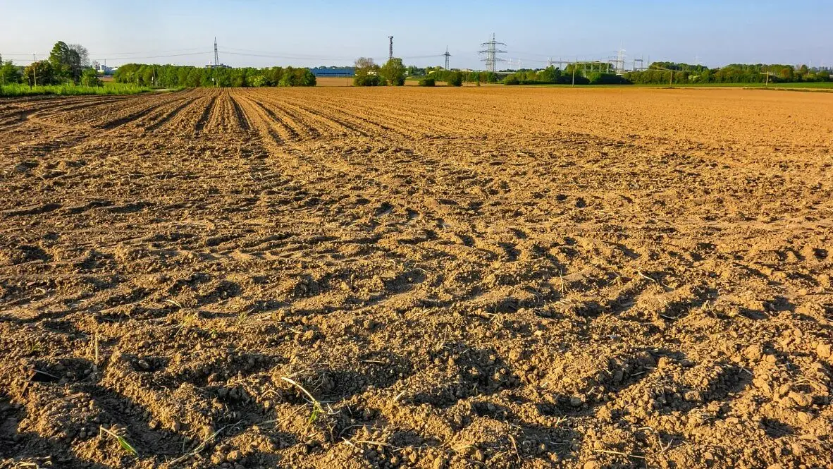 terreno incolto