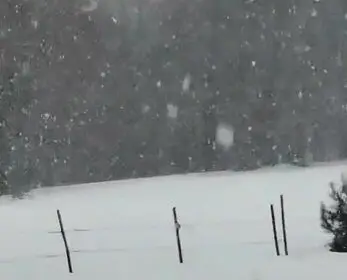 Neve a Tirivolo (foto Stazione Meteorologica Sant'Elia)