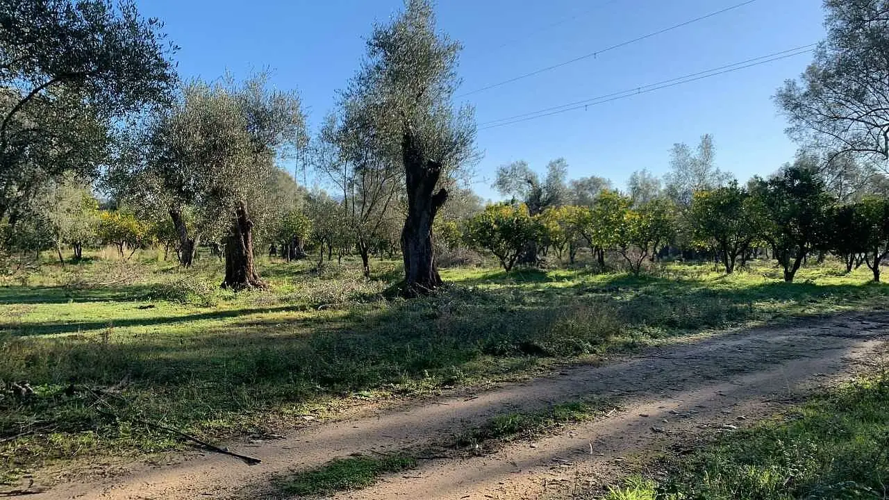 L'azienda Tenuta Badia