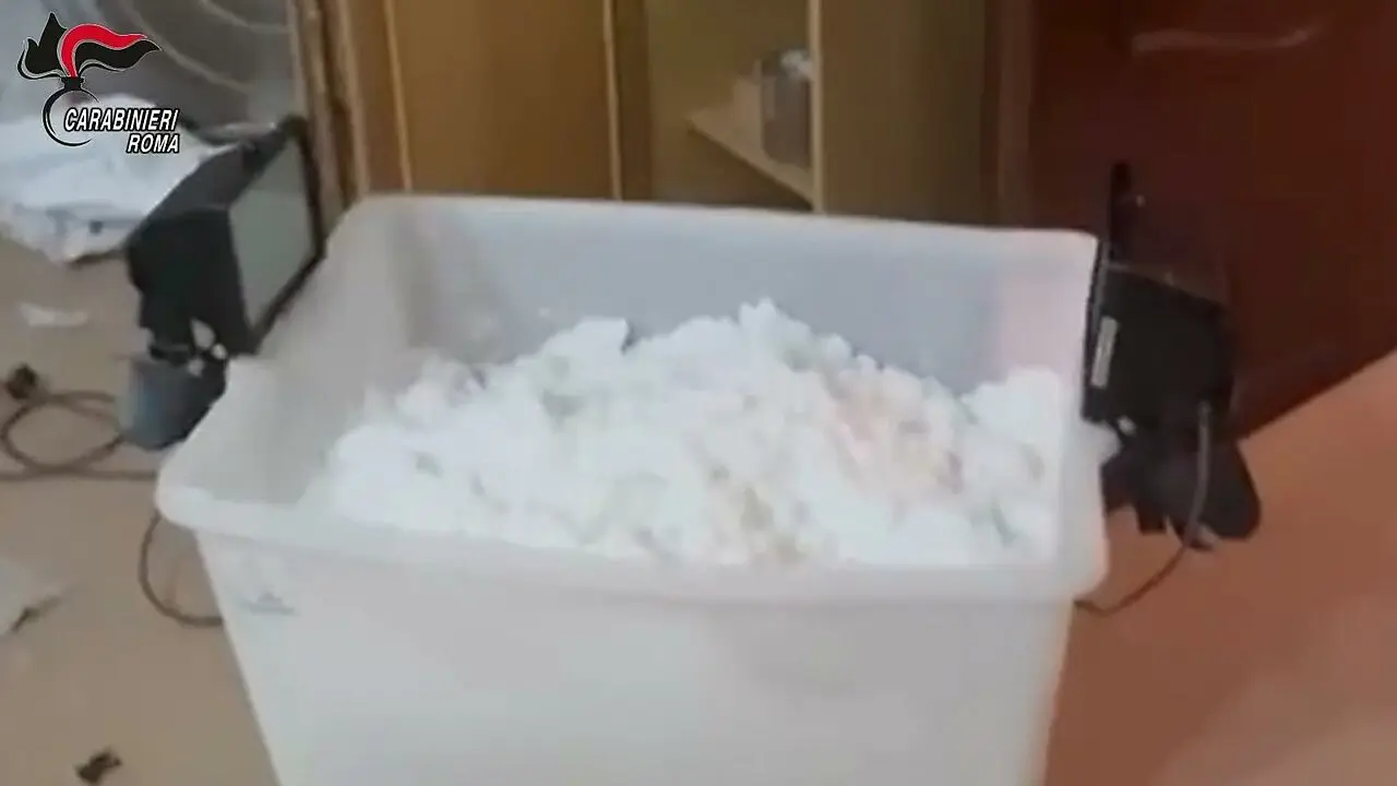 La cocaina rinvenuta