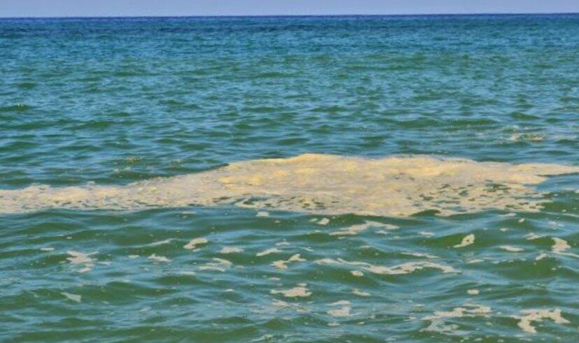mare sporco
