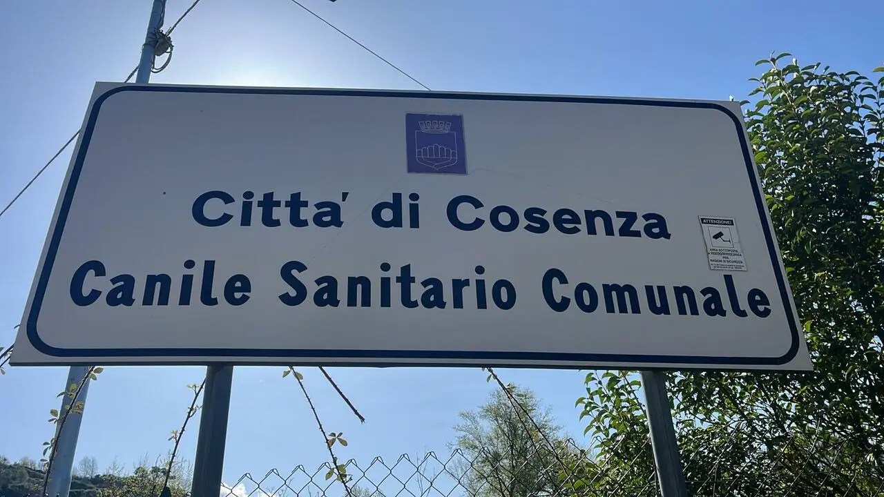 Canile sanitario Donnici