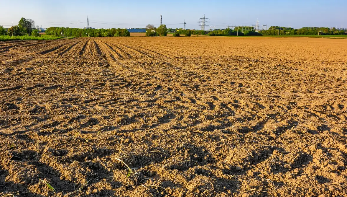 terreno agricolo incolto