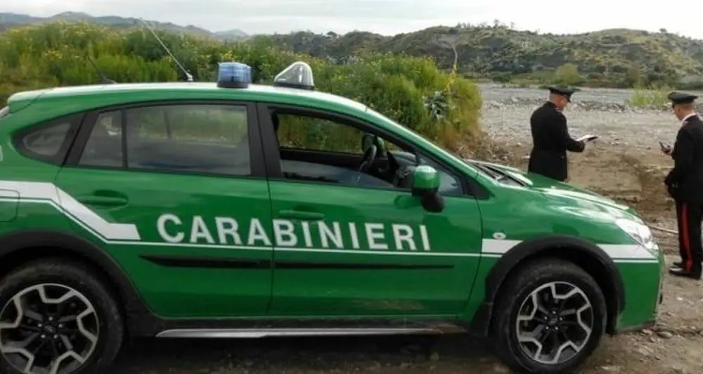 Carabinieri forestali