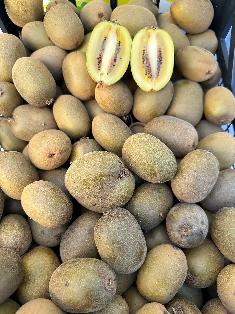Il kiwi calabrese