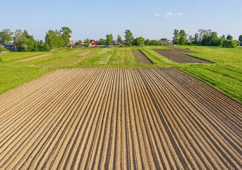 Un terreno agricolo