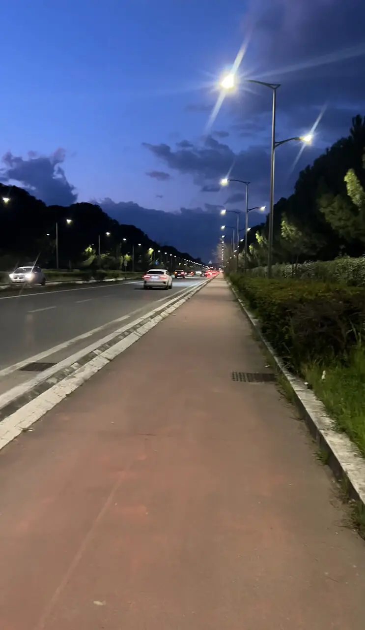 Viale Principe a Rende