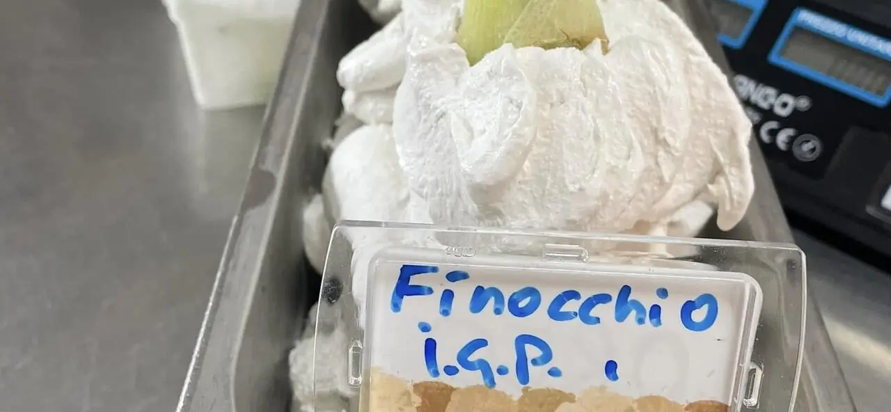 Gelato al finocchio IGP