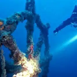 Sub sui fondali della Calabria