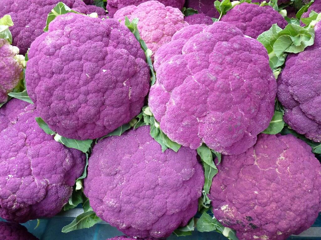 Il cavolfiore violetto