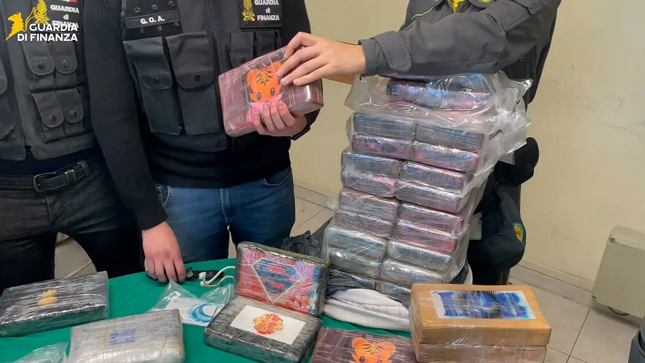 La droga sequestrata