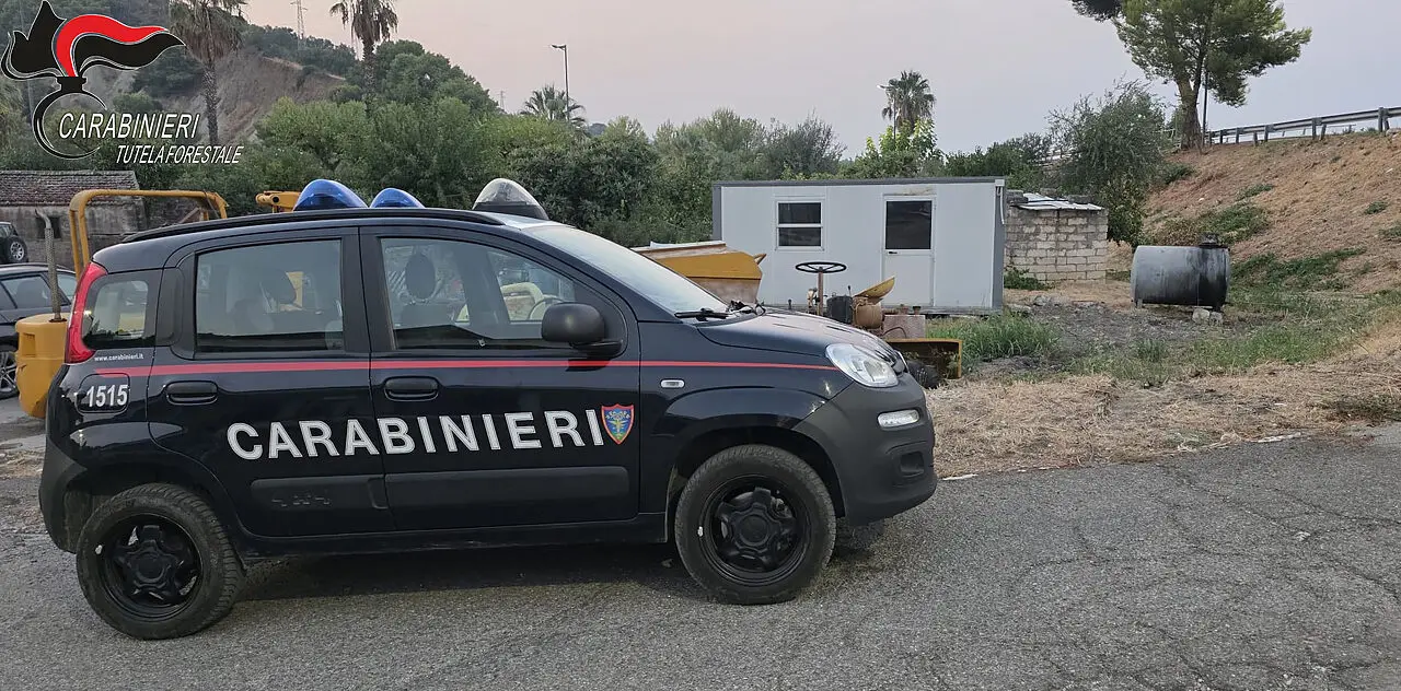 I carabinieri forestali