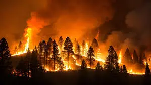 Incendi boschivi