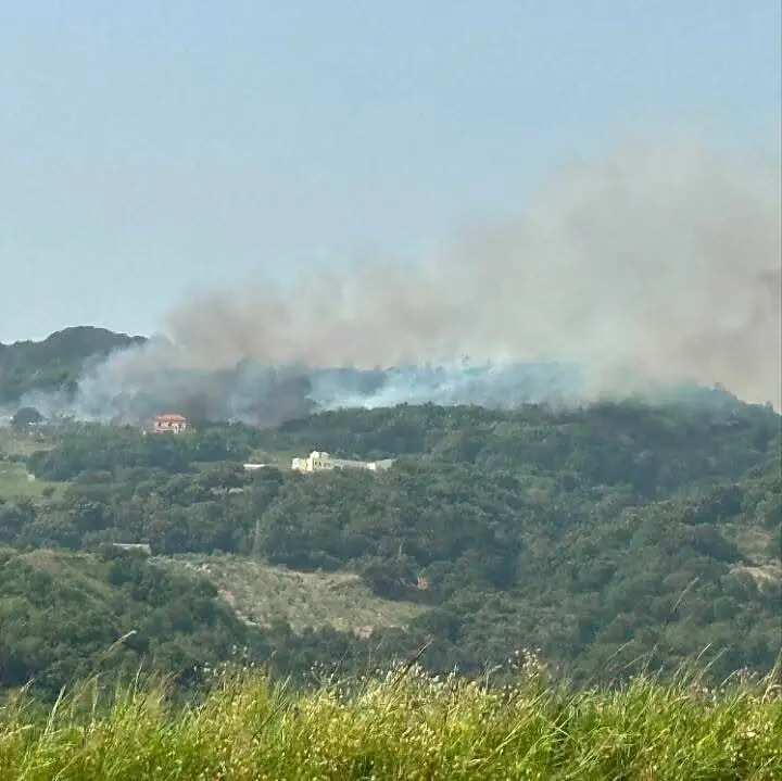 Foto di Canadair Realforest Firetovirtual