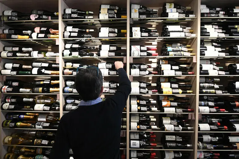 Etichette vino