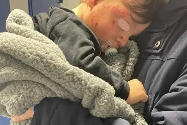 Gabriele preso a morsi