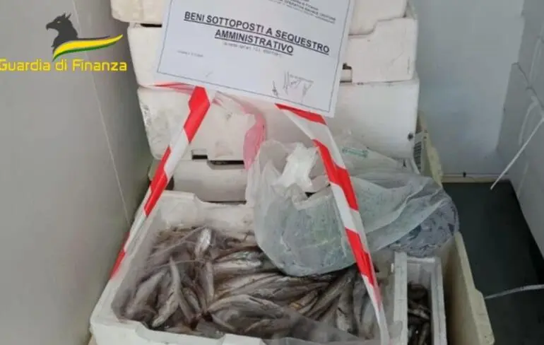 Sequestro prodotti non conformi