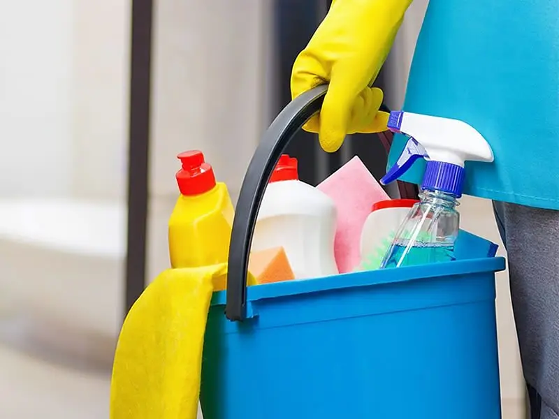 Lavoratori domestici