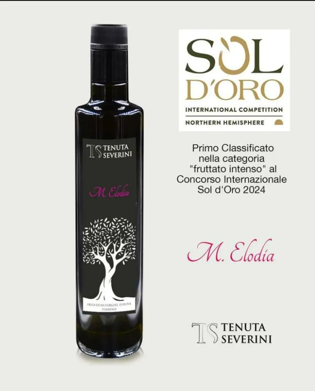 Premio Sol D'Oro