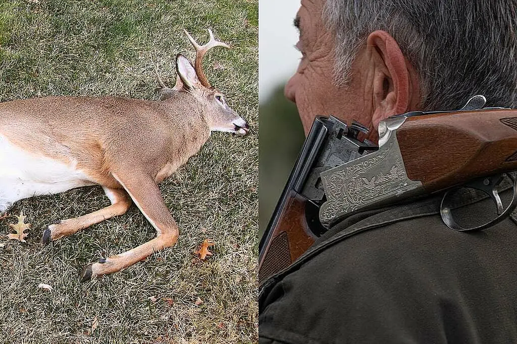 Cacciatore con fucile e cervo morto