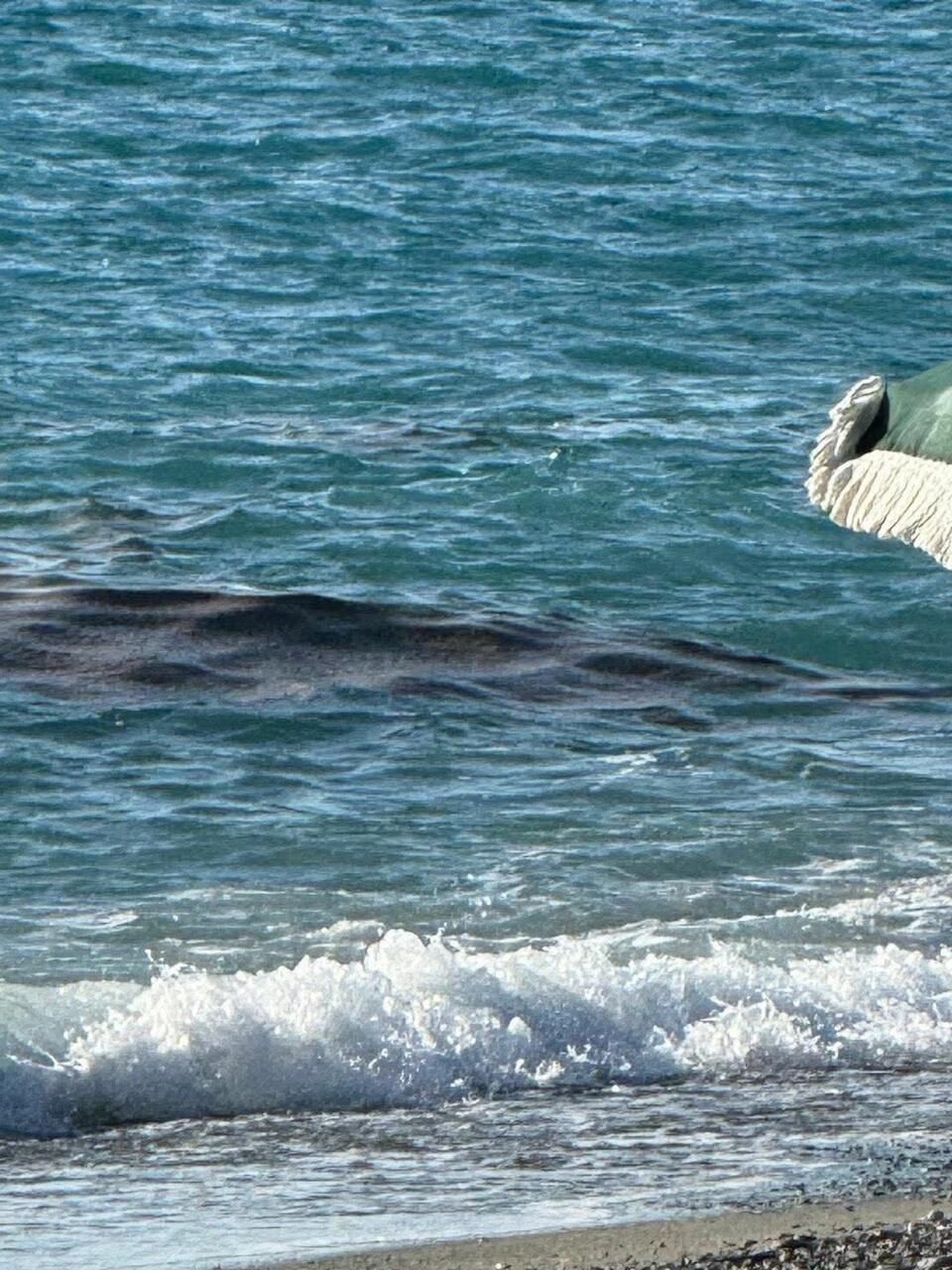 mare Torremezzo