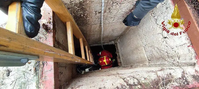vigili del fuoco